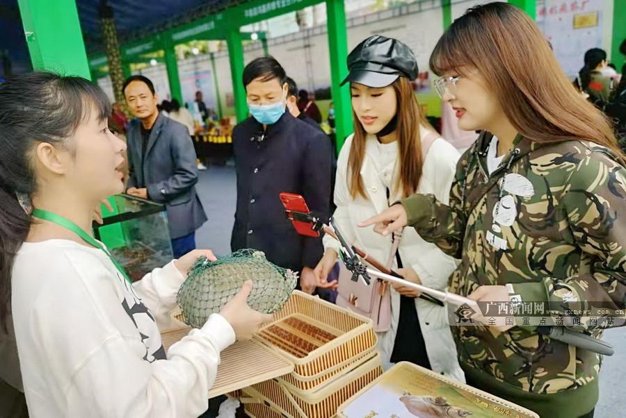 广西贵港市最新资讯更新，市内外动态一网打尽
