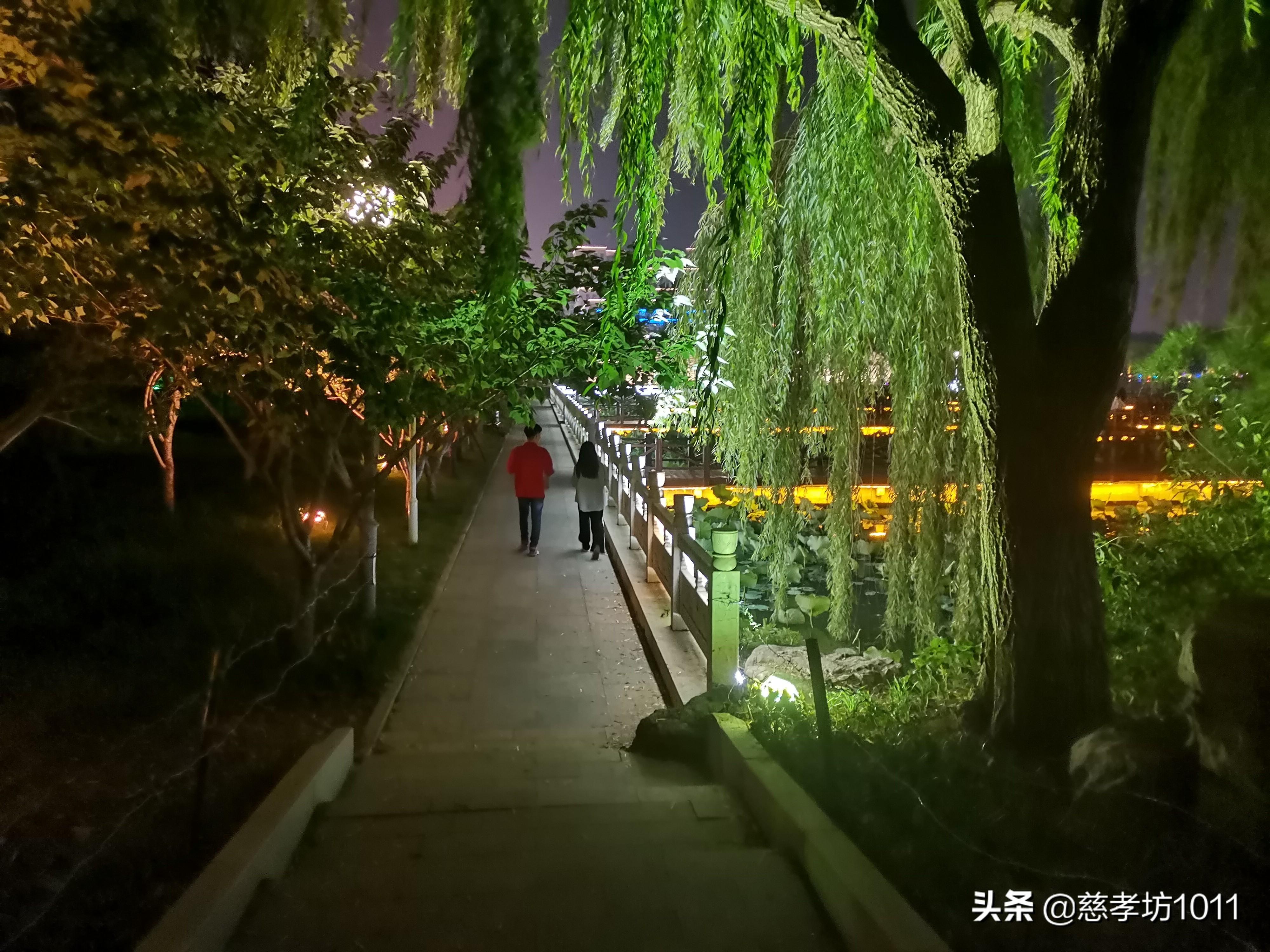 临沂南坊最新科技职位招聘，引领未来革新，智领职场新星