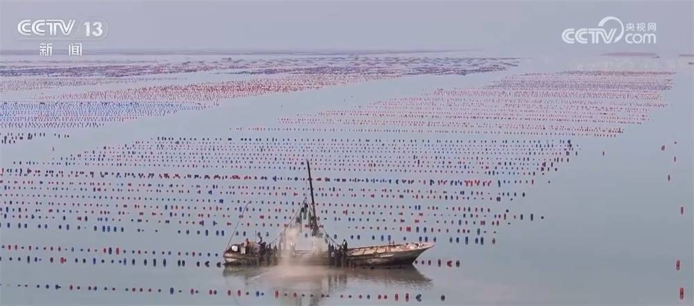 揭秘未来海鲜市场趋势，小巷海鲜盛宴与2025年海鲜市场展望